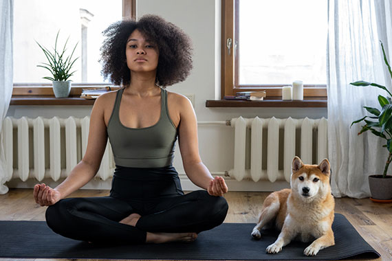 courses 01 free img.jpg